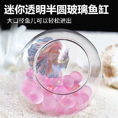 迷你金鱼缸玻璃鱼缸水培圆形简约透明客厅家用小型桌面摆件可定制
