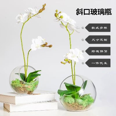 半圆形玻璃瓶水培植物台藓微景观生态瓶多肉植物创意礼品摆件定制