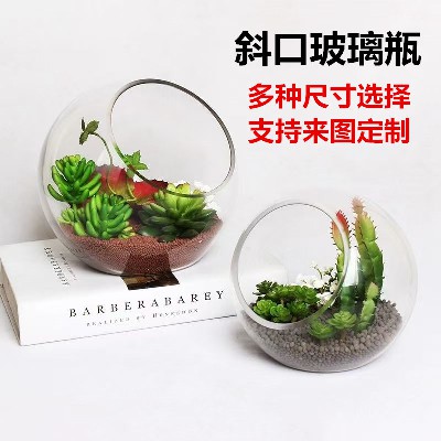 圣诞装饰玻璃瓶透明微景观生态瓶多肉花瓶水培花器家居摆件品定制