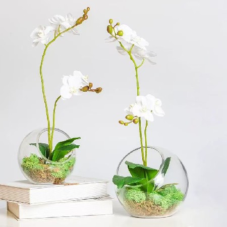 斜口玻璃瓶透明圆形微景观生态瓶多肉花瓶水培花器家居摆件品定制