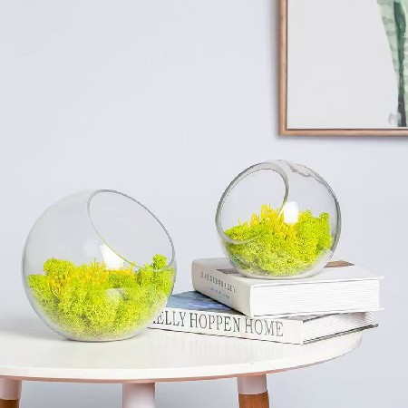 半圆形玻璃瓶水培植物台藓微景观生态瓶多肉植物创意礼品摆件定制