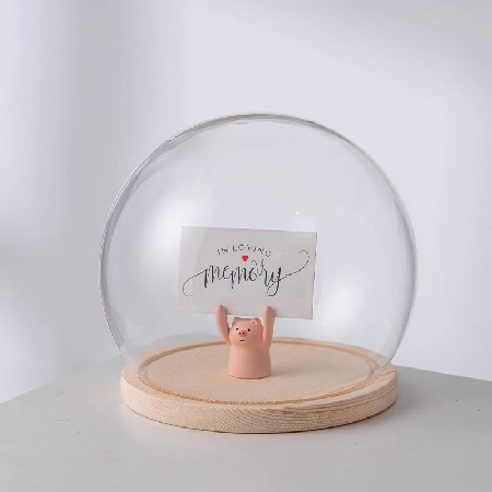 圆球形高硼硅玻璃罩粘土手工足金黄金饰品防尘罩收纳展示盒可定制