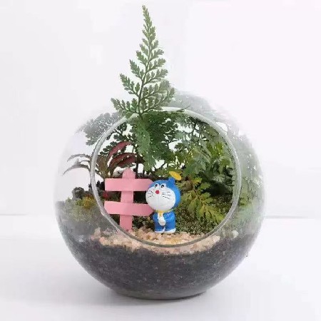 透明圆形斜口玻璃花瓶 微景观生态瓶多肉花瓶水培花器 家居工艺品