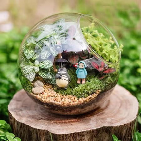 Hydroponic plant glass bottle semi-circular table moss micro landscape ecological bottle succulent plant creative gift decoration customization