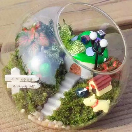 Christmas Decoration Glass Bottle Transparent Micro Landscape Ecological Bottle Succulent Vase Hydroponic Flower Utensils Home Decor Customization