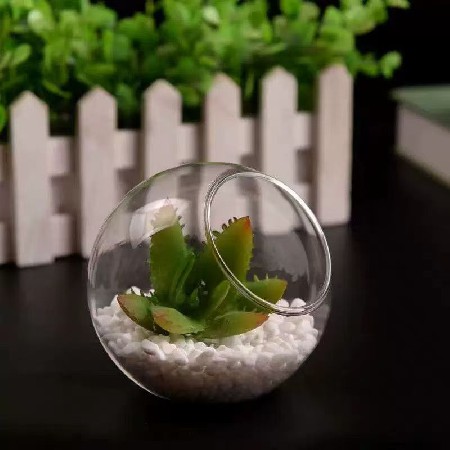 Hydroponic plant glass bottle semi-circular table moss micro landscape ecological bottle succulent plant creative gift decoration customization