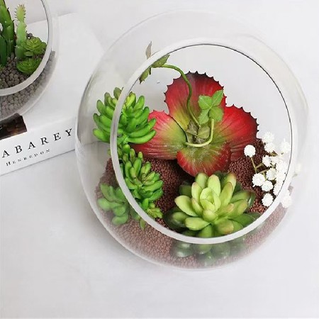 半圆形玻璃瓶水培植物台藓微景观生态瓶多肉植物创意礼品摆件定制
