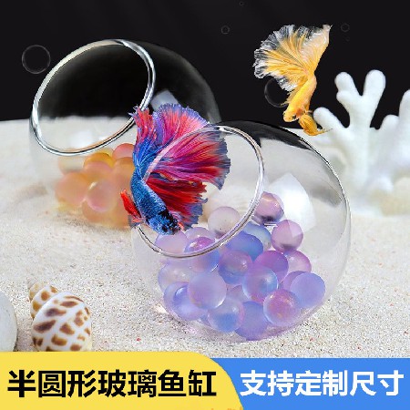Transparent glass bottle, simple hydroponic fish tank, circular living room, goldfish tank, mini household, small desktop decoration customization