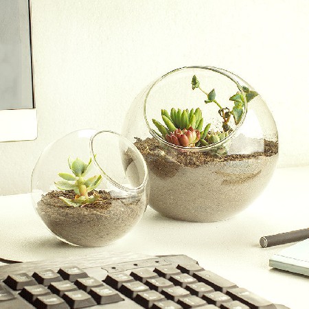 透明玻璃瓶简约水培鱼缸圆形客厅金鱼缸迷你家用小型桌面摆件定制