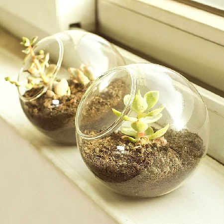 透明玻璃瓶简约水培鱼缸圆形客厅金鱼缸迷你家用小型桌面摆件定制