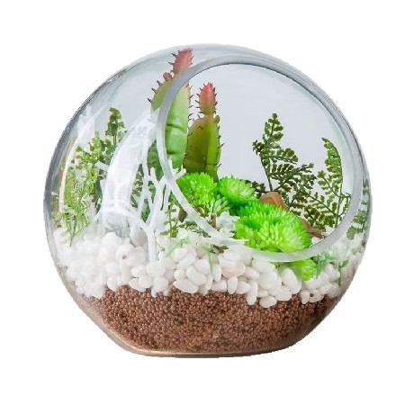 Christmas Decoration Glass Bottle Transparent Micro Landscape Ecological Bottle Succulent Vase Hydroponic Flower Utensils Home Decor Customization