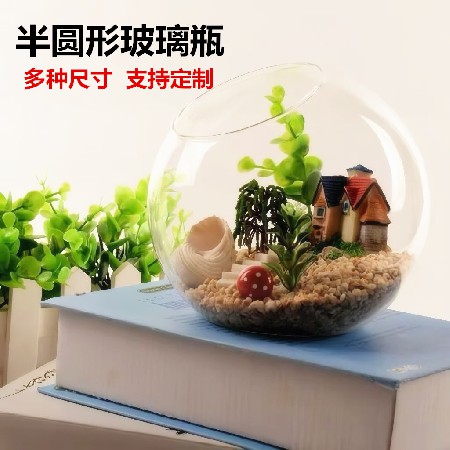 透明圆形斜口玻璃花瓶 微景观生态瓶多肉花瓶水培花器 家居工艺品